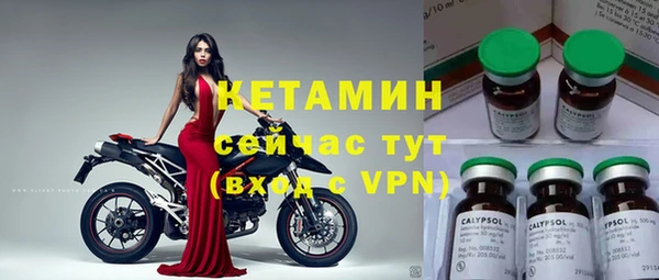 прущие грибы Арсеньев