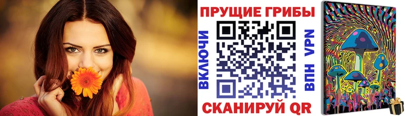 Псилоцибиновые грибы GOLDEN TEACHER Верхняя Салда